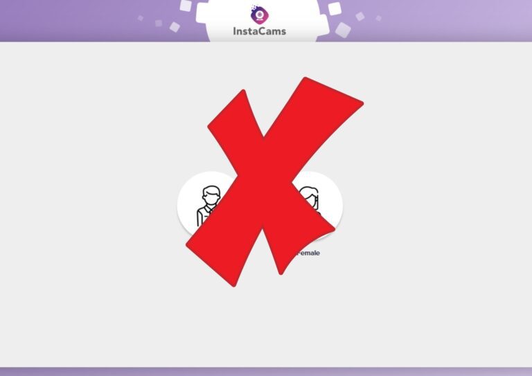 instacams scam